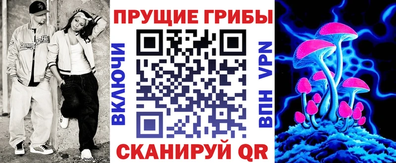 дарнет шоп  Трубчевск  Галлюциногенные грибы мицелий 