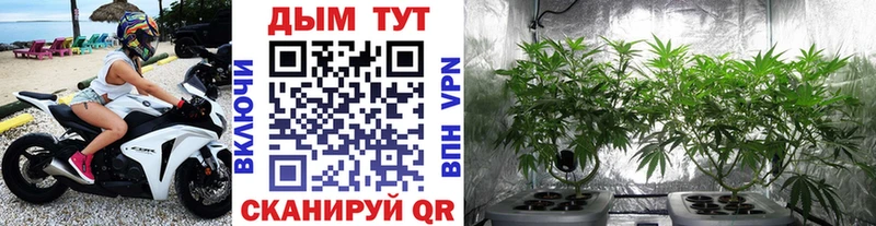Марихуана индика  Трубчевск 